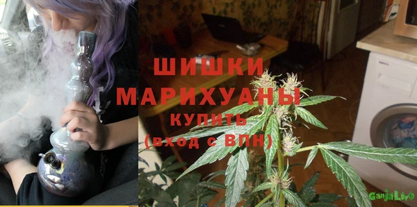 ПСИЛОЦИБИНОВЫЕ ГРИБЫ Аркадак