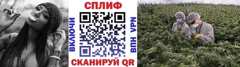 Каннабис VHQ  Купить где  Серов 